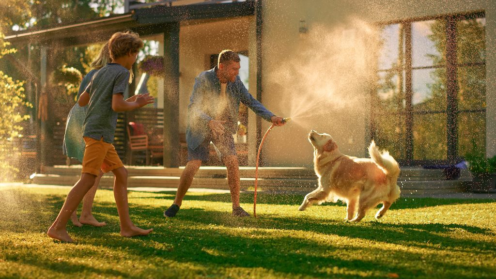 residential security services, protect your family, home, and pets